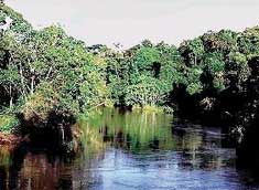 Foto: Parque Yasun�. Diario La Hora