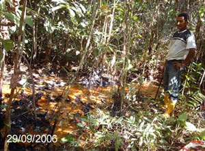 Foto 1: Los efectos del anterior derrame