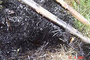 Foto 4: El origen del derrame II