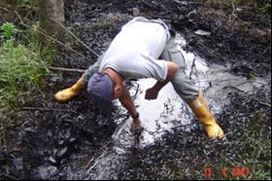 Foto 7: El derrame anega el estero