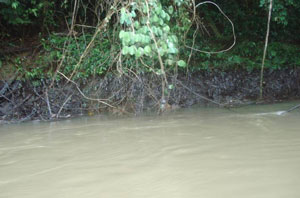 Foto 2: Rio Tiputini, donde se observa el rastro del derrame