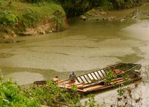 Madereros cargando cedro dentro de la Zona intangible (Foto: J. Proa�o, Acci�n Ecol�gica)