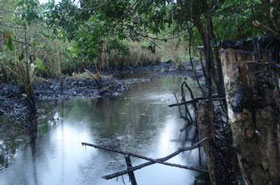 Estero que desemboca al R�o Yasun�. Bloque 16