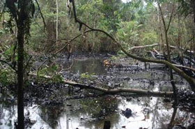 Estero que desemboca al R�o Yasun�. Bloque 16