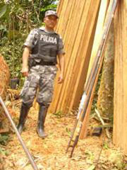 Polic�a muestra las lanzas encontradas (Foto: Polic�a Judicial Orellana)