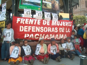 protesta del frente de mujeres defensoras de la pachamama (foto 2)